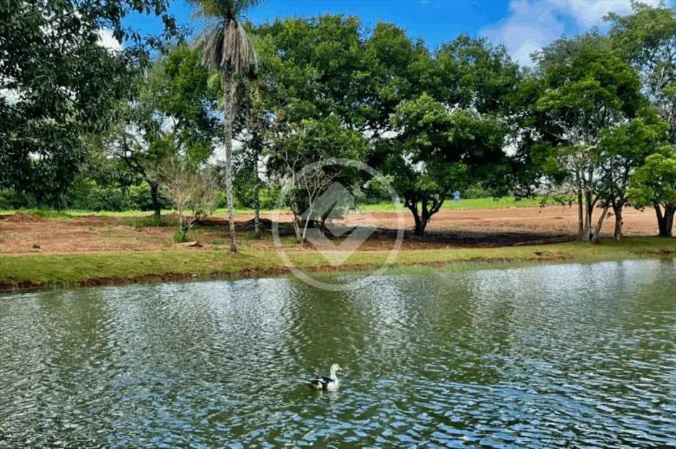 Terreno Condomínio no Rosa de Leiria, Goianira — foto 4 de 5