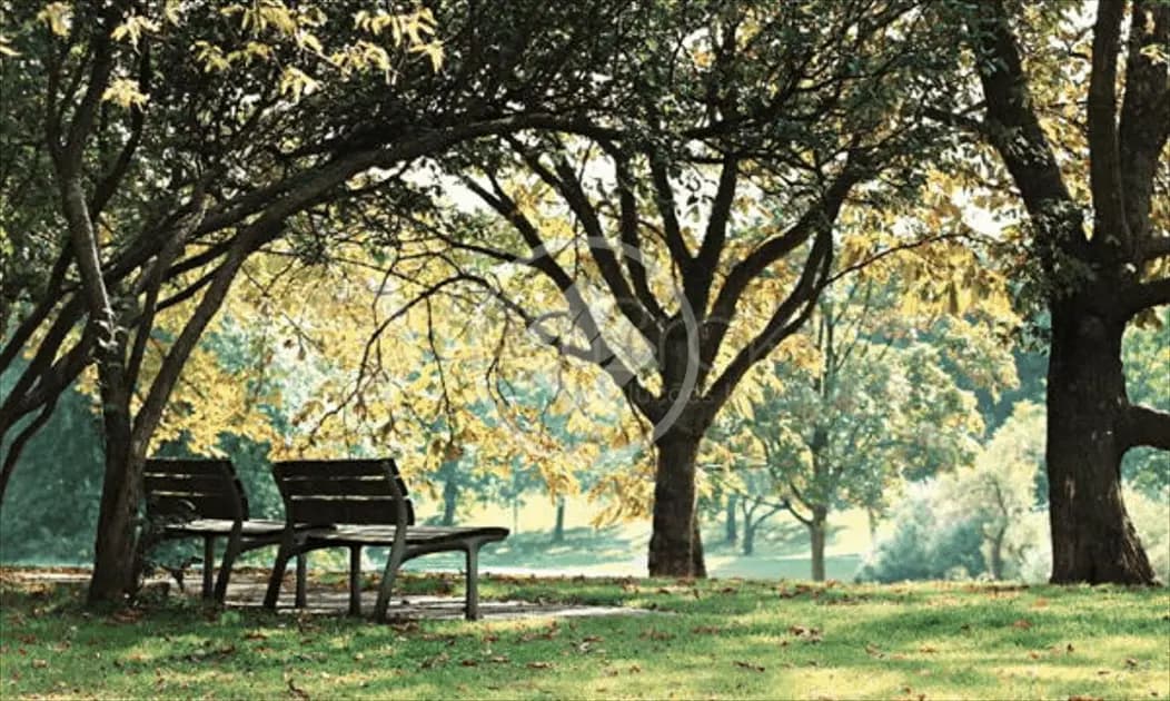 Terreno Condomínio no Jardins Barcelona, Senador Canedo — foto 6 de 6