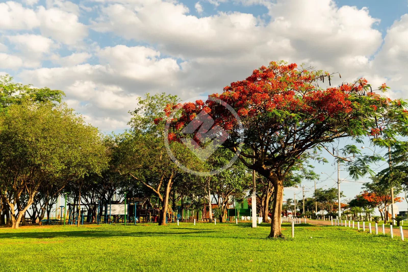 Terreno Condomínio no Centro, Araçatuba — foto 6 de 6