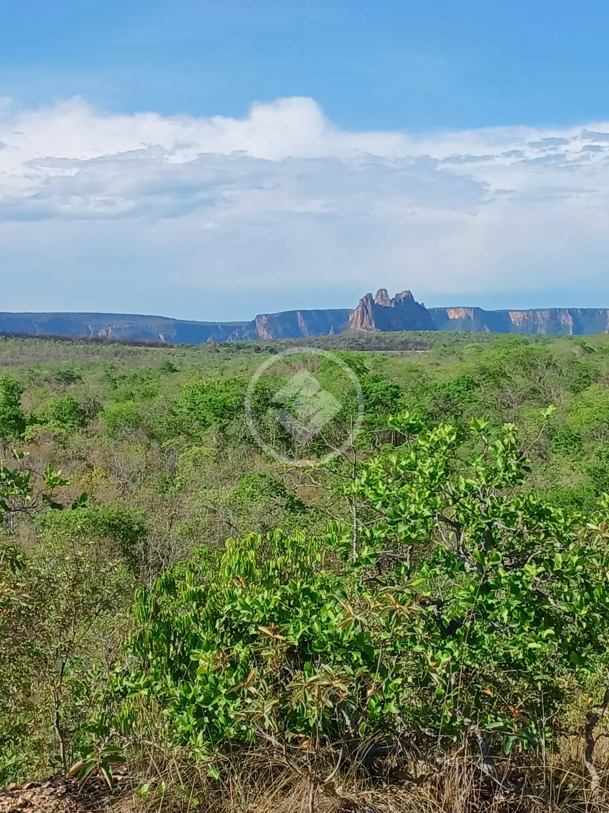 Chácara no COXIPO, Cuiabá — foto 3 de 6