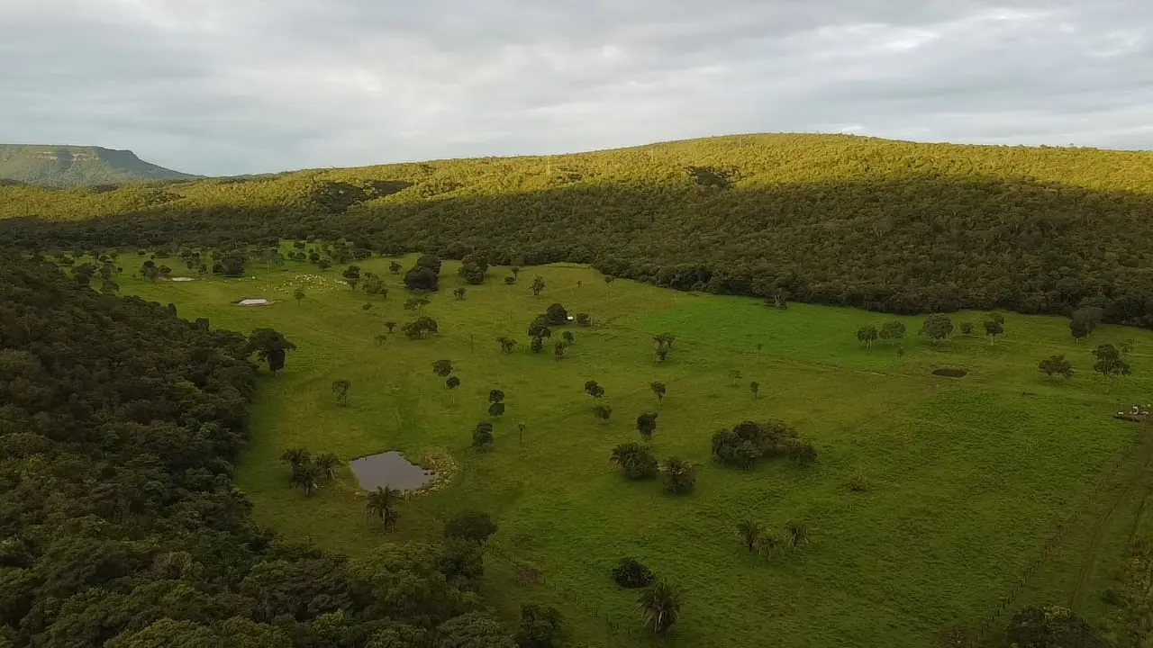 FAZENDA PARA PECUÁRIA À 35KM DE CÁCERES-MT
