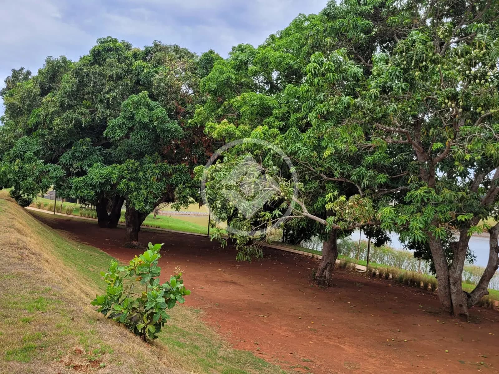 Terreno Condomínio no Parqville Quaresmeira, Trindade — foto 4 de 6