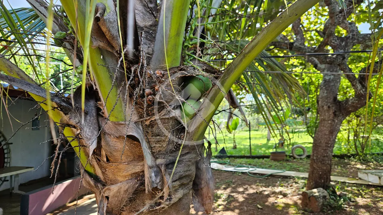 Terreno no Condomínio Residencial dos Sonhos, Hidrolândia — foto 4 de 6