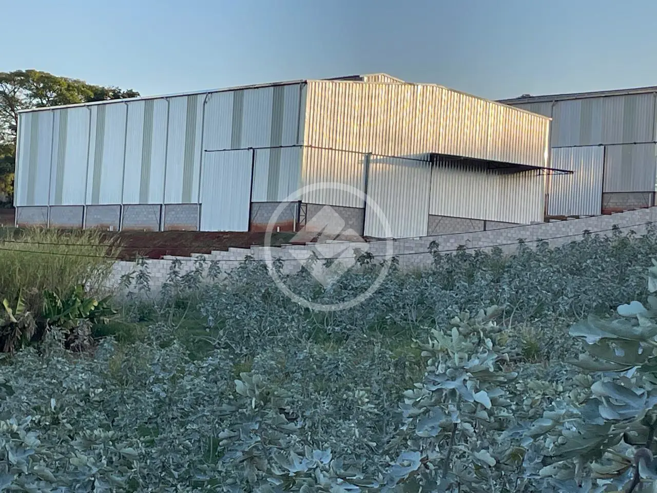 Chácara 3 quartos no Reforma Agrária, Campinas — foto 6 de 6