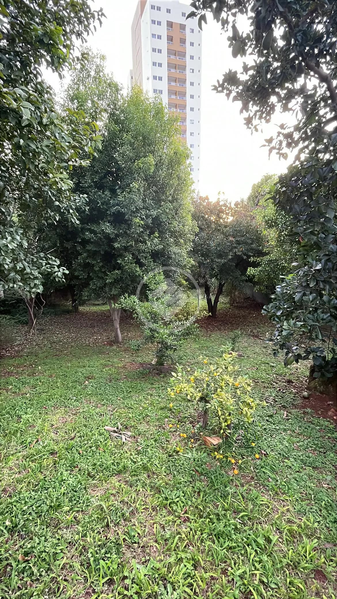 Terreno Líder, Chapecó - SC — foto 1
