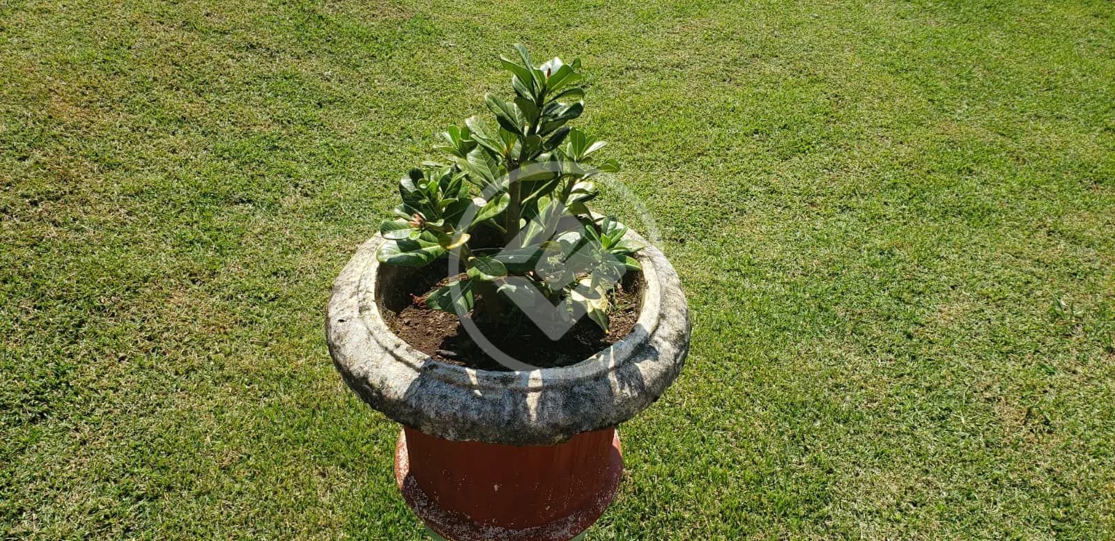 Chácara 2 quartos no FLORADA DA SERRA, Chapada dos Guimarães — foto 5 de 6