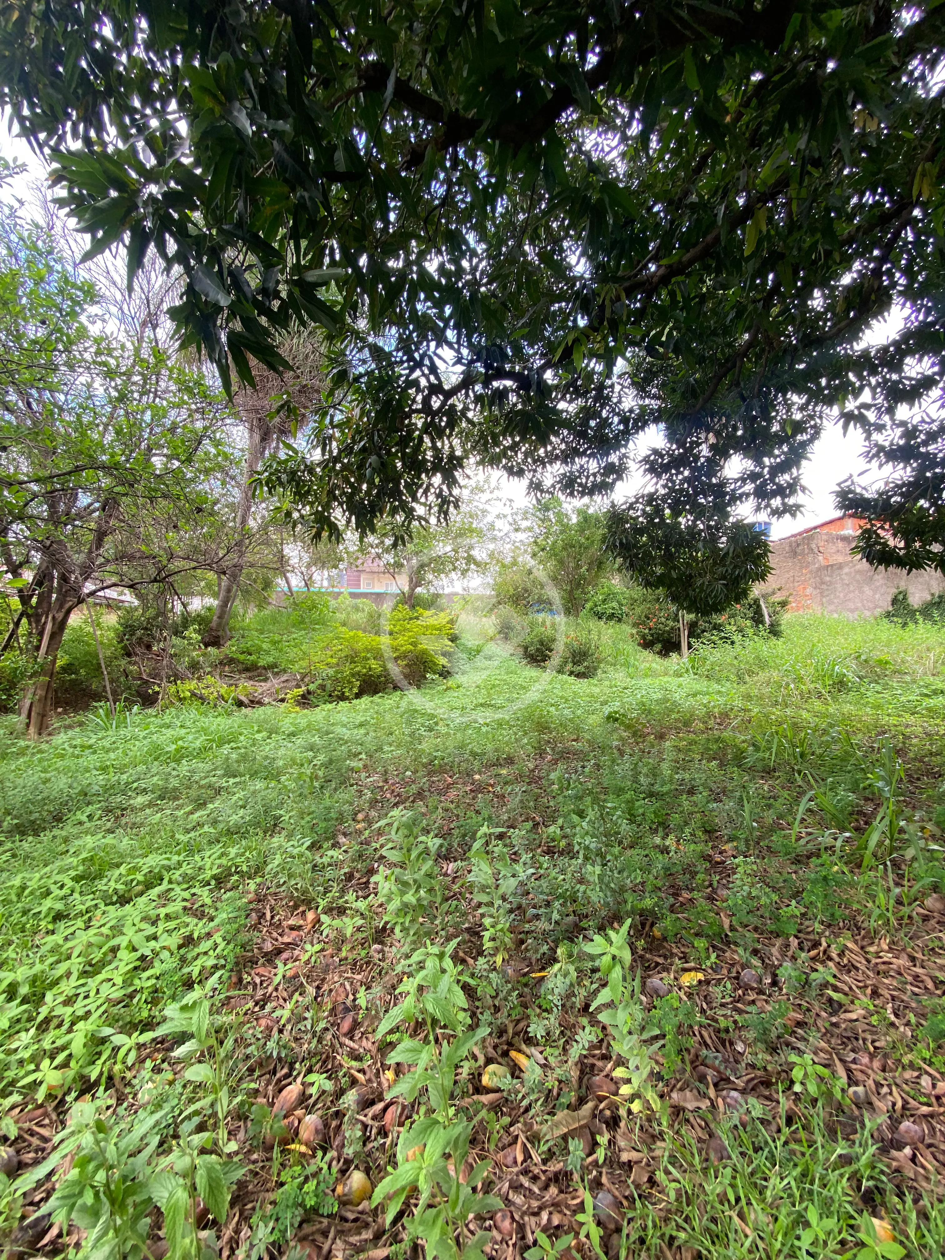 Terreno no Cidade Alta, Cuiabá — foto 4 de 6