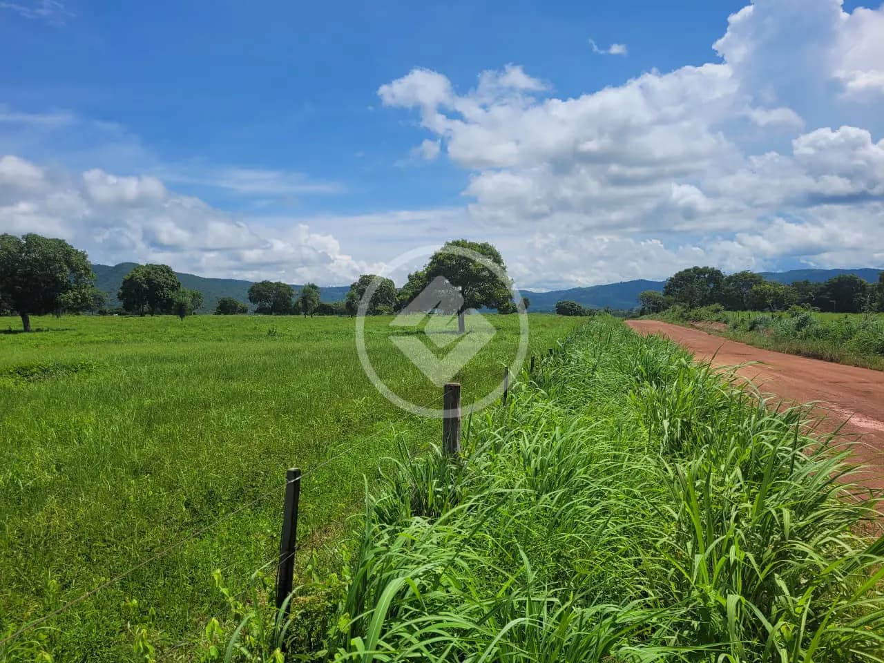FAZENDA À VENDA EM ACORIZAL - MT 🐂🌿