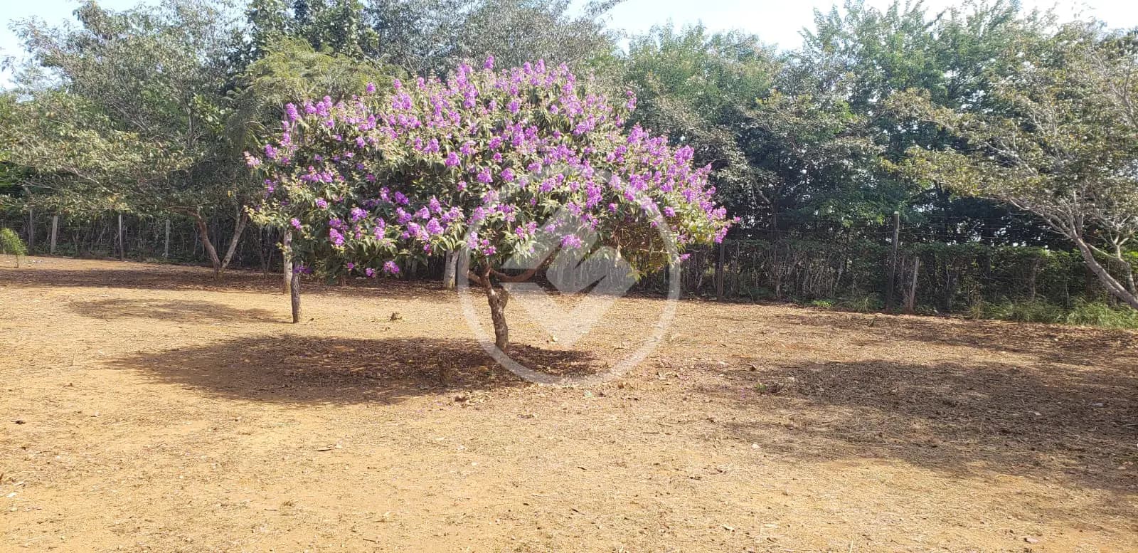 Chácara 2 quartos no FLORADA DA SERRA, Chapada dos Guimarães — foto 3 de 6