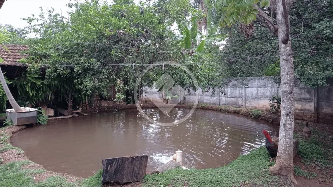 Chácara no Setor Central, Hidrolândia — foto 2 de 6
