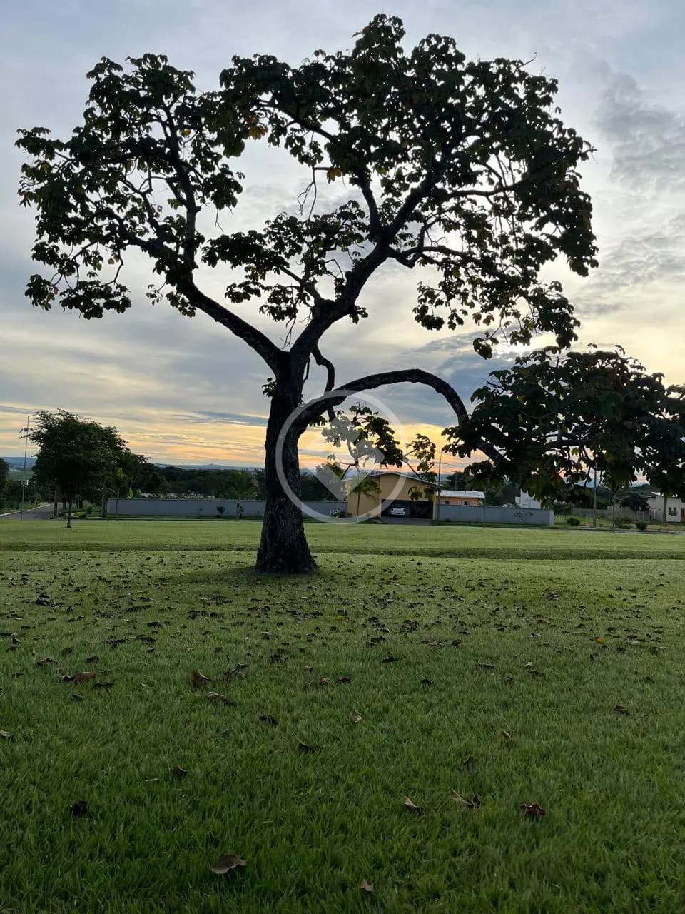 Terreno Condomínio Central, Bela Vista de Goiás - GO — foto 1