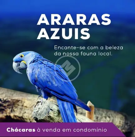 Chácara no Fazenda Recanto Sonhado, Bela Vista de Goiás — foto 6 de 6