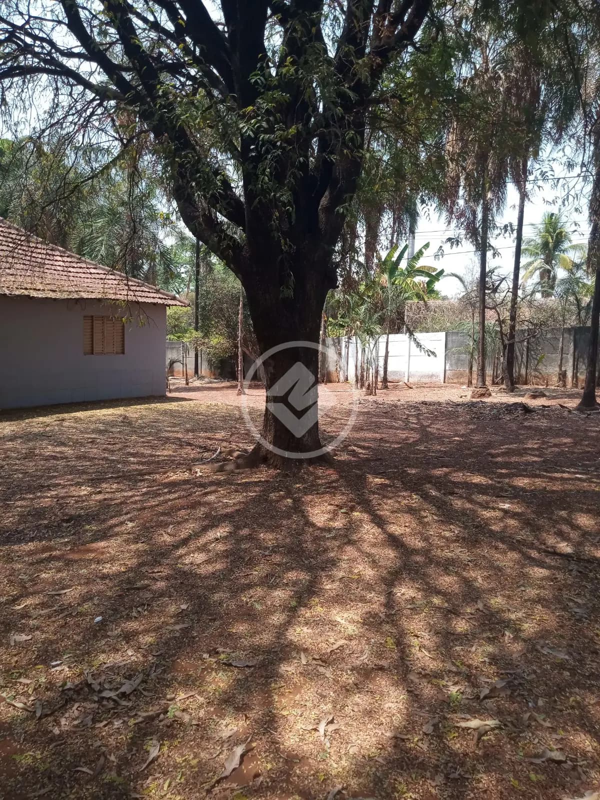 Chácara no Chácaras Dona Gê, Goiânia — foto 3 de 6