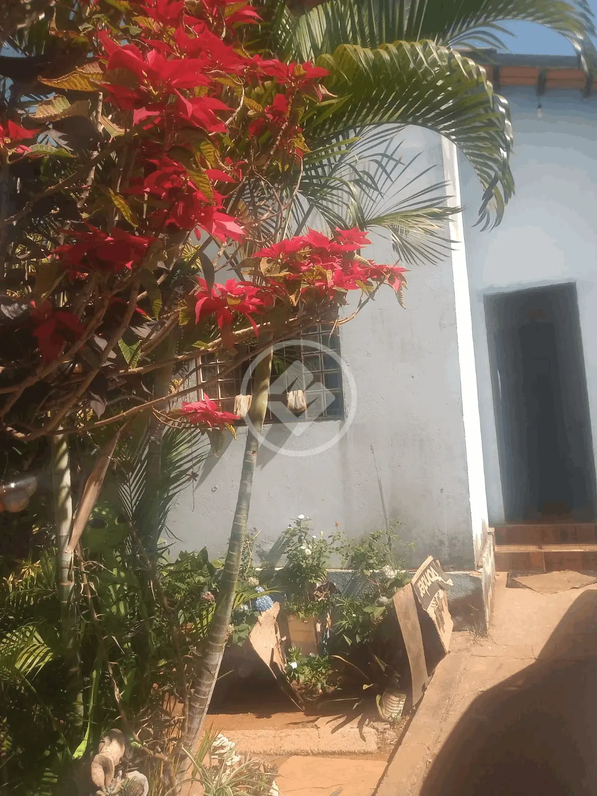 Casa 2 quartos no Residencial Buena Vista I, Goiânia — foto 3 de 6