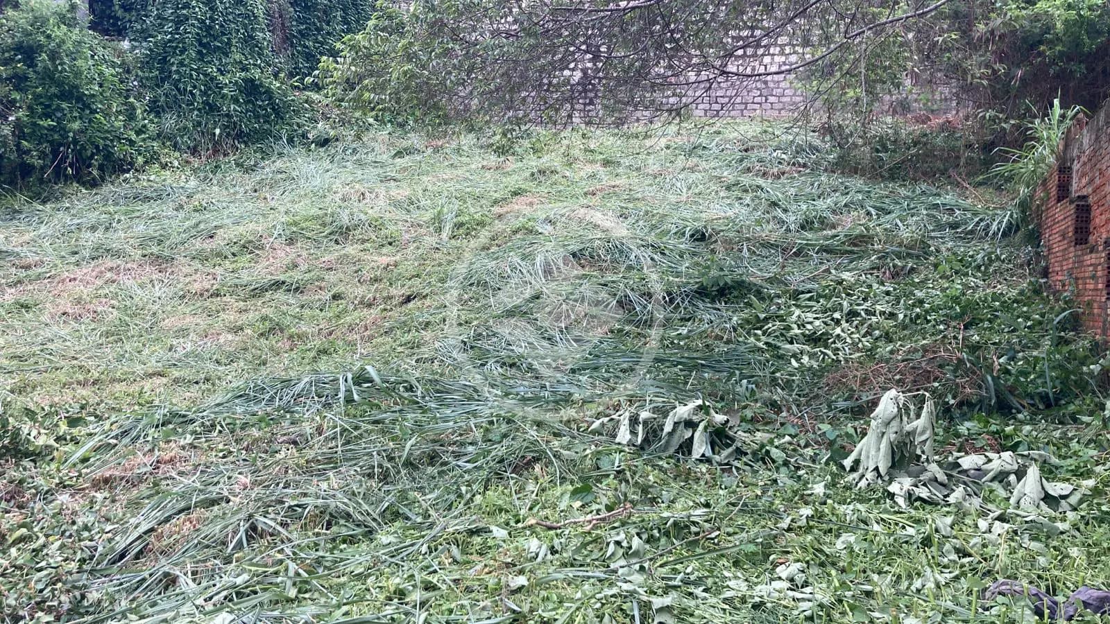 Terreno Agronômica, Florianópolis - SC — foto 2