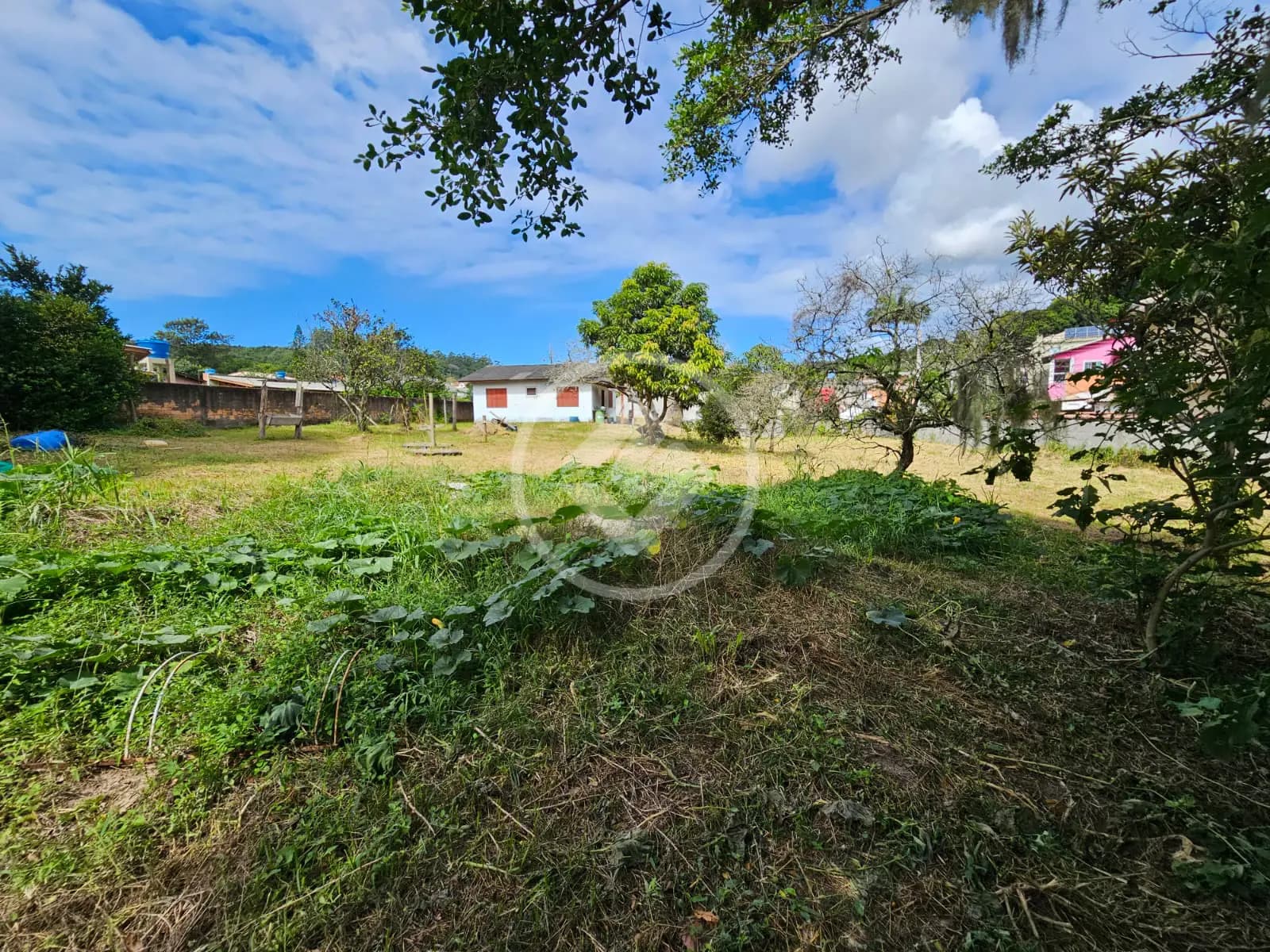 Terreno no Cachoeira do Bom Jesus, Florianópolis — foto 4 de 6