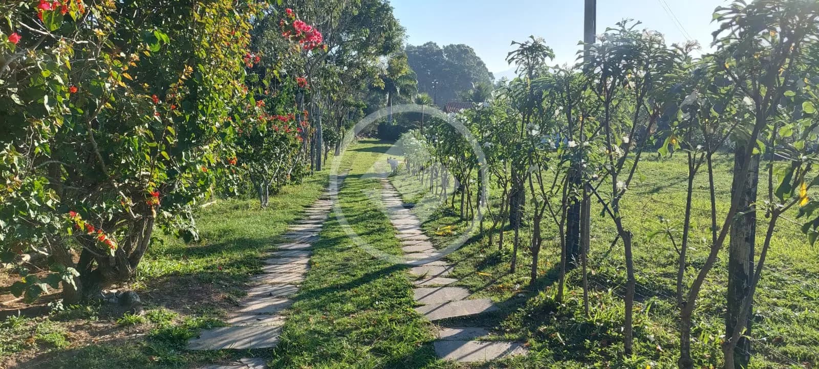 Sítio Comunidade Urbana de Iguape, Guarapari - ES — foto 2