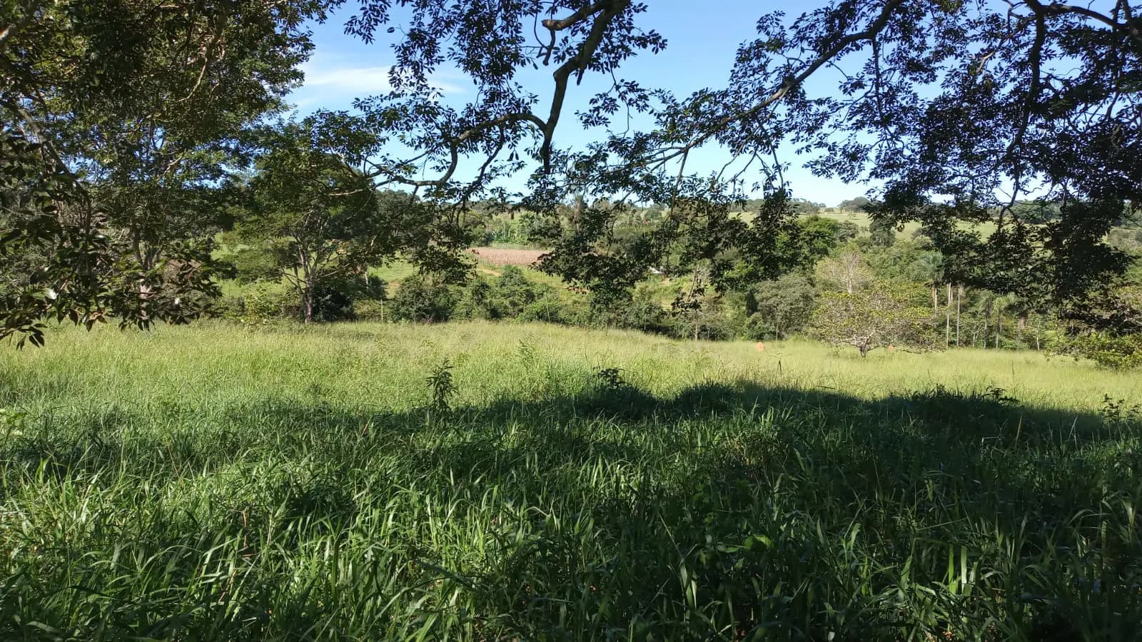 Fazenda no Zona Rural, Hidrolândia — foto 6 de 6