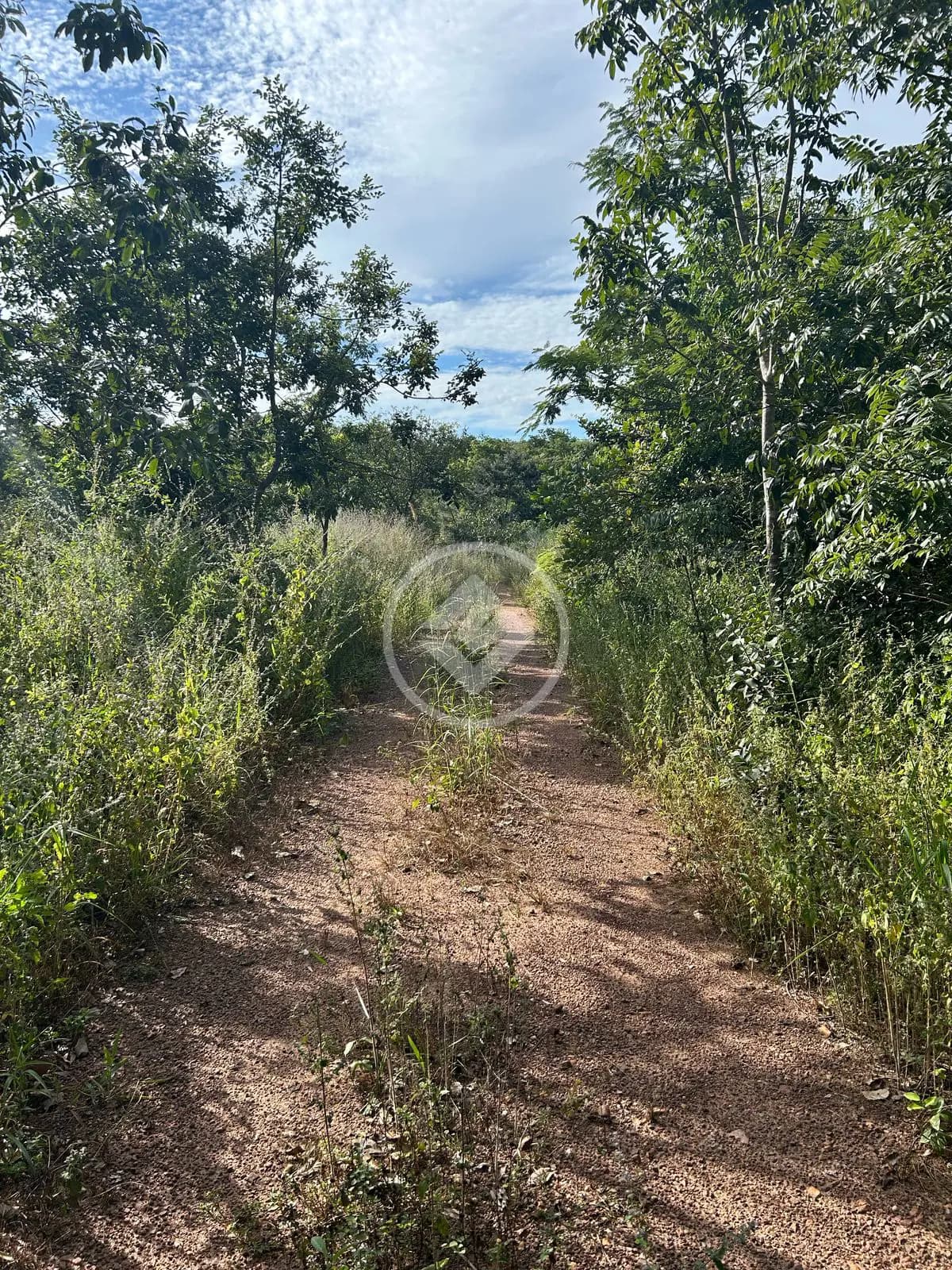 Chácara no Zona Rural Hidrolandia, Hidrolândia — foto 5 de 6