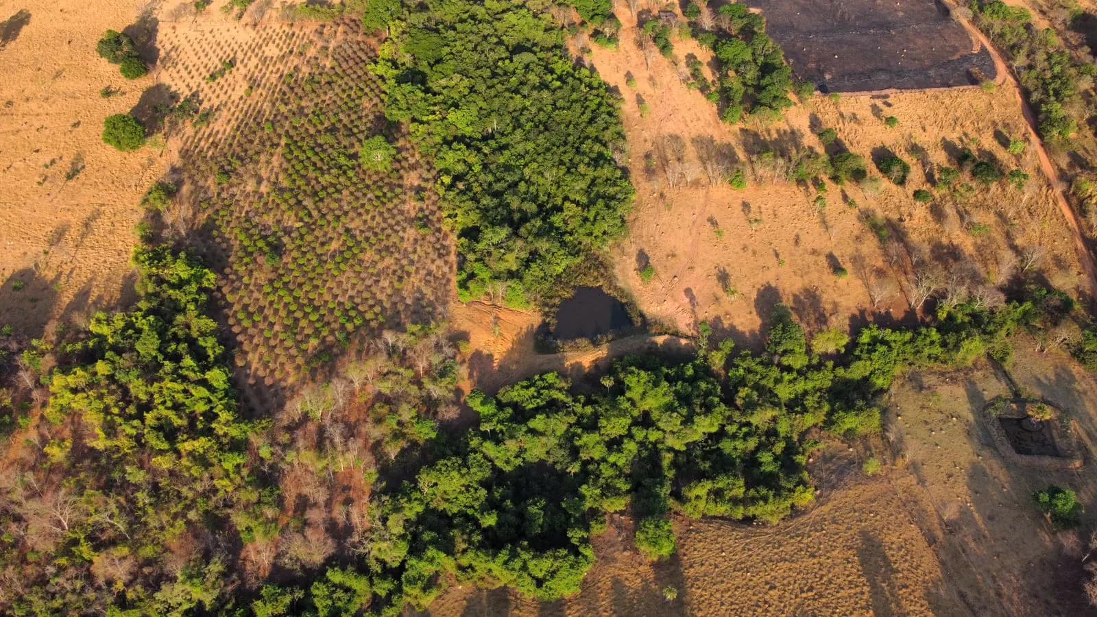 Fazenda no Zona Rural, Hidrolândia — foto 3 de 6