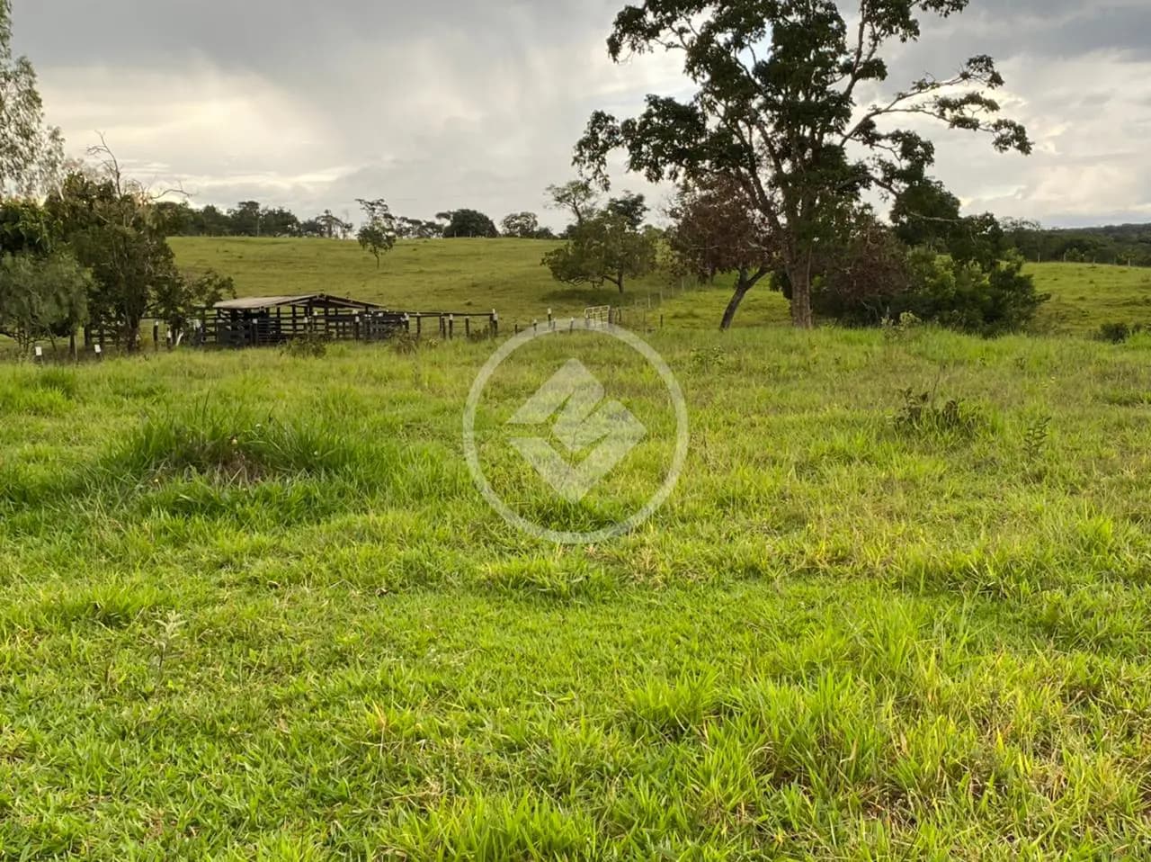 Fazenda no Chácara em Hidrolândia, Hidrolândia — foto 6 de 6