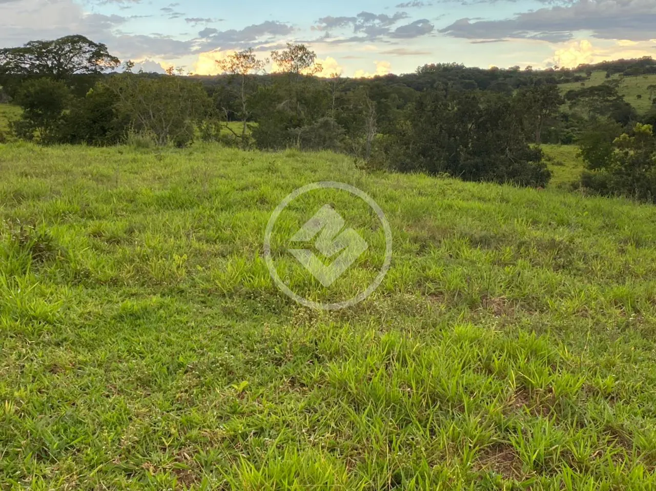 Fazenda no Chácara em Hidrolândia, Hidrolândia — foto 3 de 6
