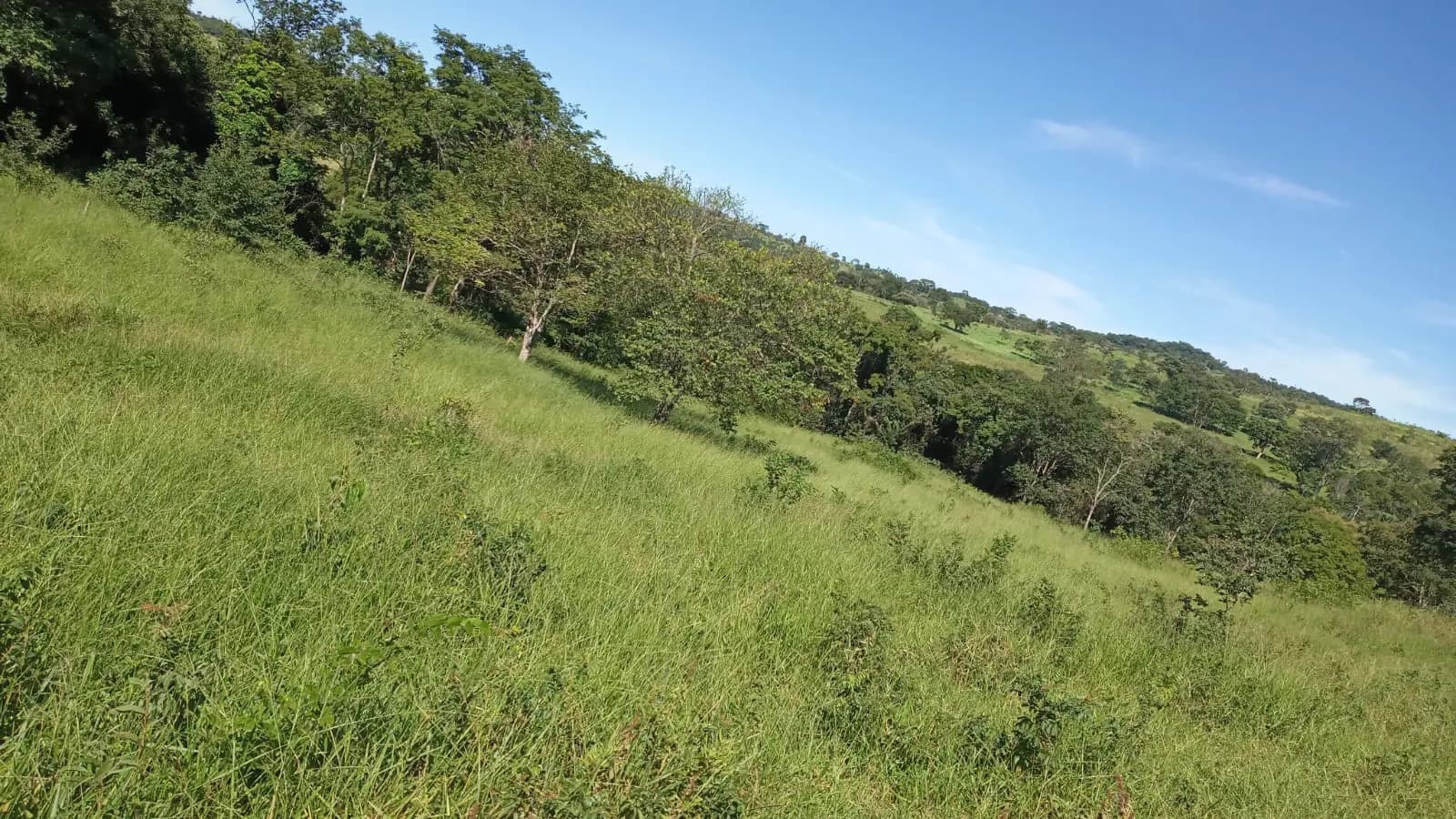 Fazenda no Zona Rural, Hidrolândia — foto 3 de 6