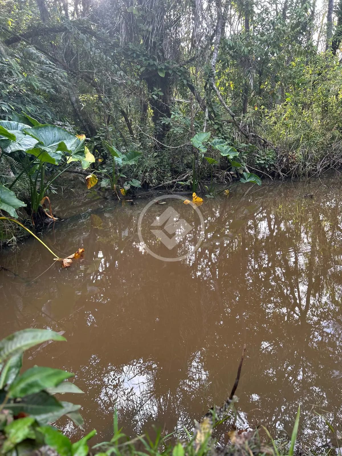 Chácara Zona Rural Hidrolandia, Hidrolândia - GO — foto 2