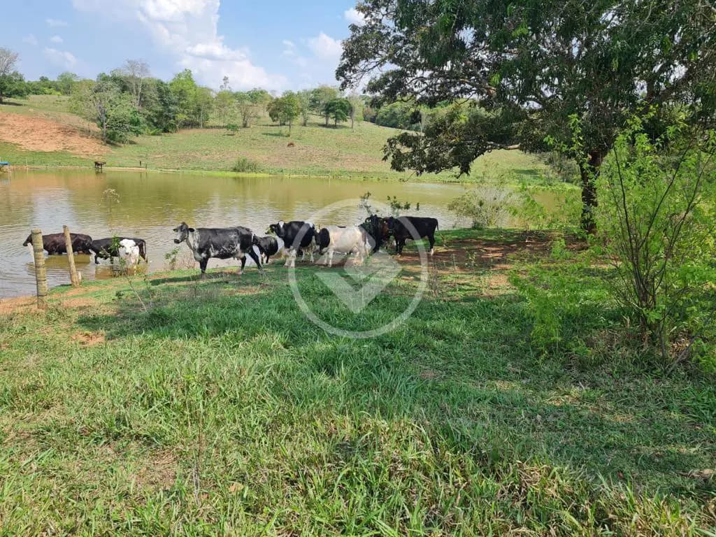 Chácara no Chácara em Hidrolândia, Hidrolândia — foto 4 de 6