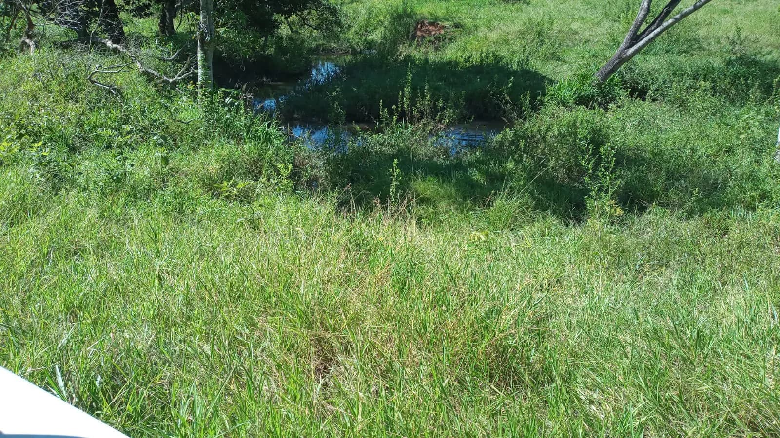 Fazenda no Zona Rural, Hidrolândia — foto 4 de 6