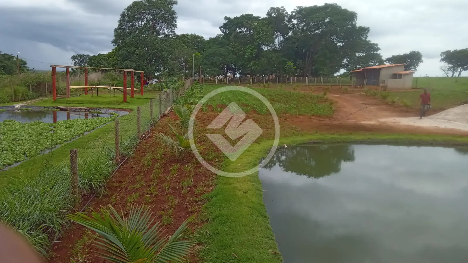 Fazenda no Chácara em Hidrolândia, Hidrolândia — foto 4 de 6