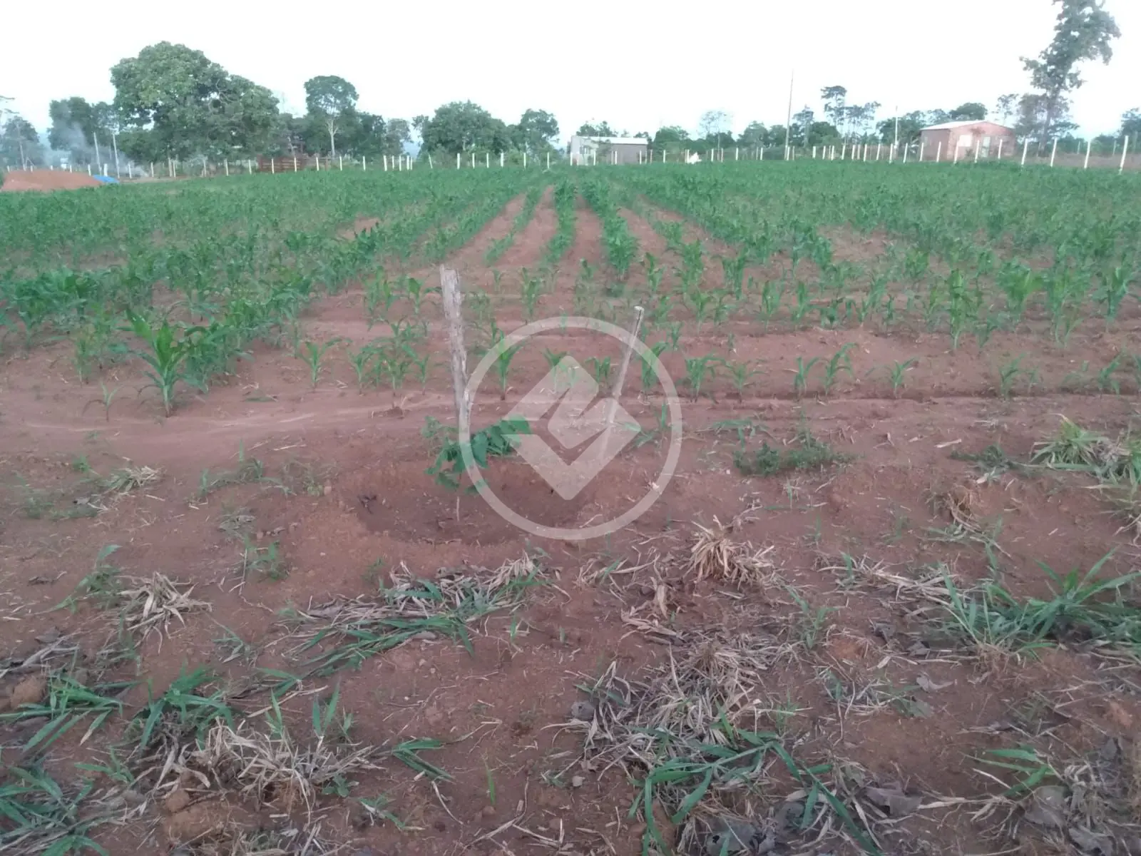 Chácara no Zona Rural, Hidrolândia — foto 6 de 6