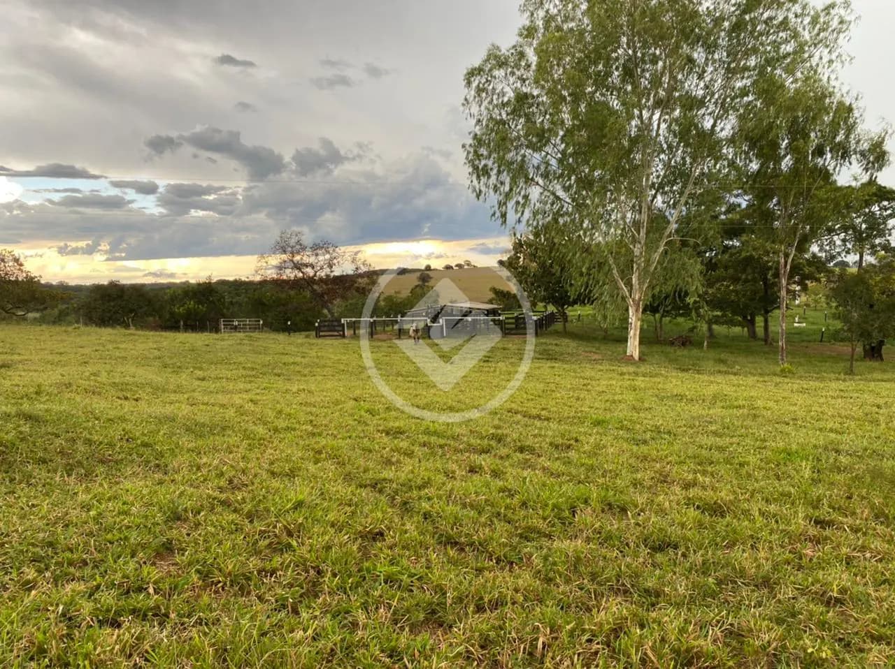 Fazenda no Chácara em Hidrolândia, Hidrolândia — foto 5 de 6