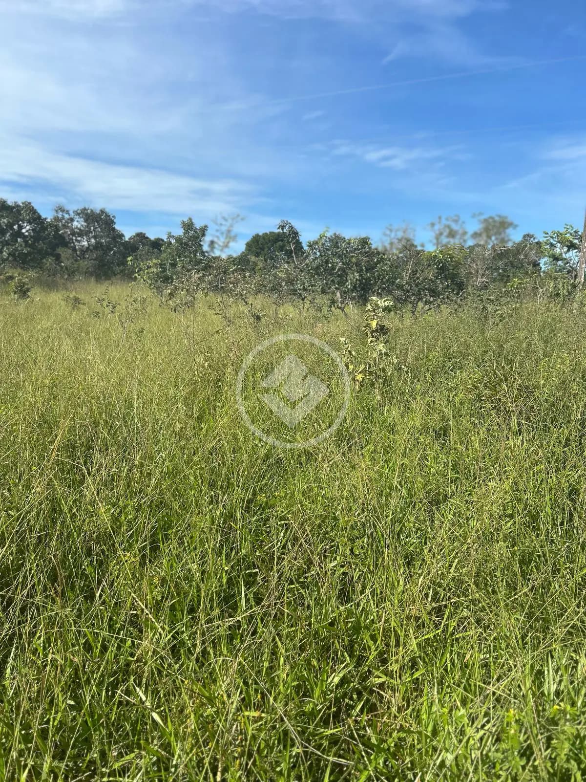 Chácara no Zona Rural Hidrolandia, Hidrolândia — foto 6 de 6