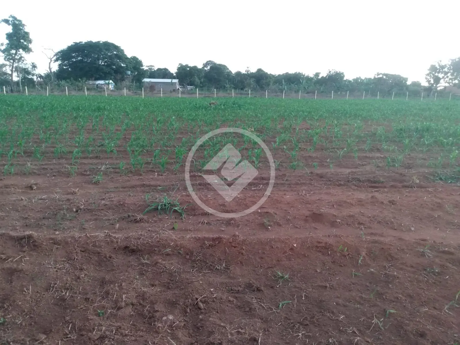 Chácara no Zona Rural, Hidrolândia — foto 5 de 6