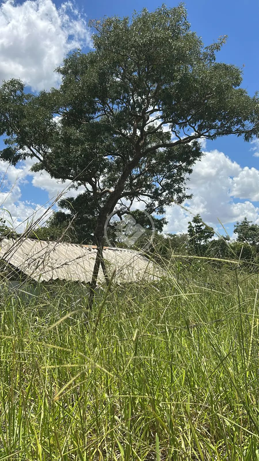 Chácara Zona Rural, Hidrolândia - GO — foto 2