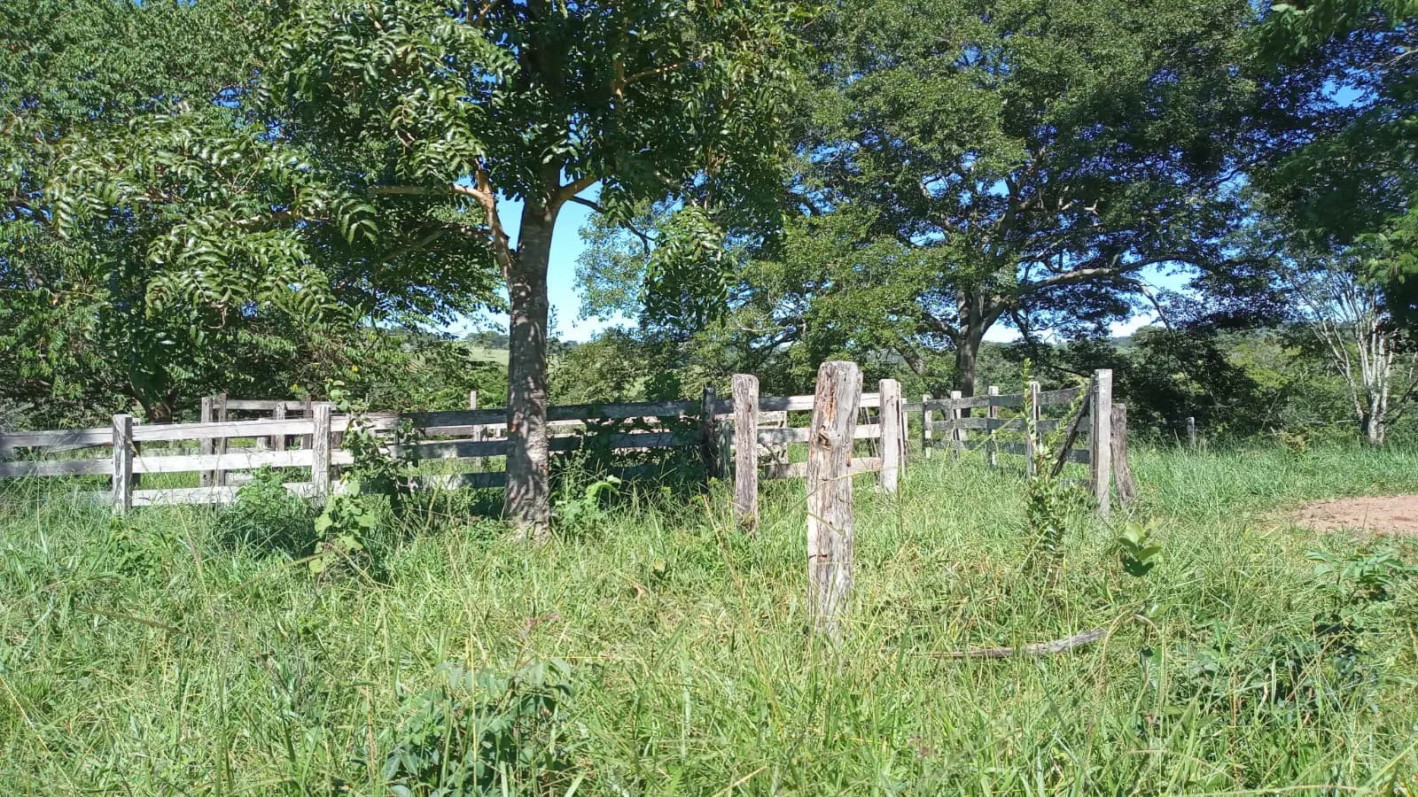 Fazenda Zona Rural, Hidrolândia - GO — foto 1