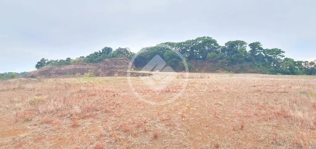 Terreno no Área Rural de Chapecó, Chapecó — foto 4 de 6