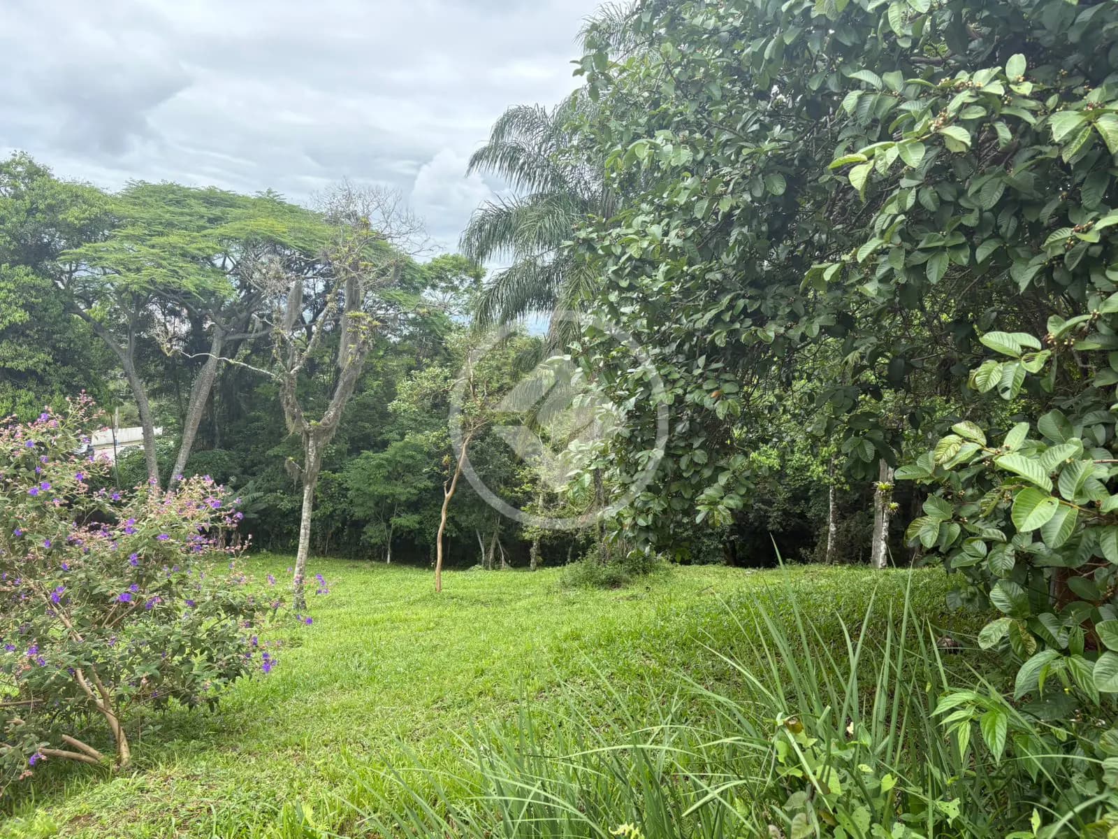Terreno Meia Praia, Itapema - SC — foto 2
