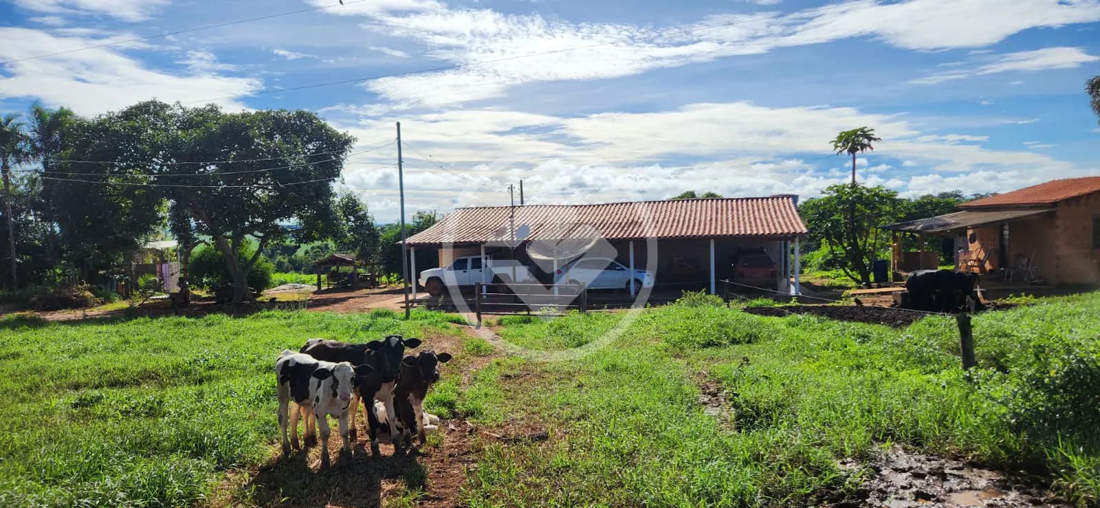 Sítio no Área Rural de Jataí, Jataí — foto 5 de 6