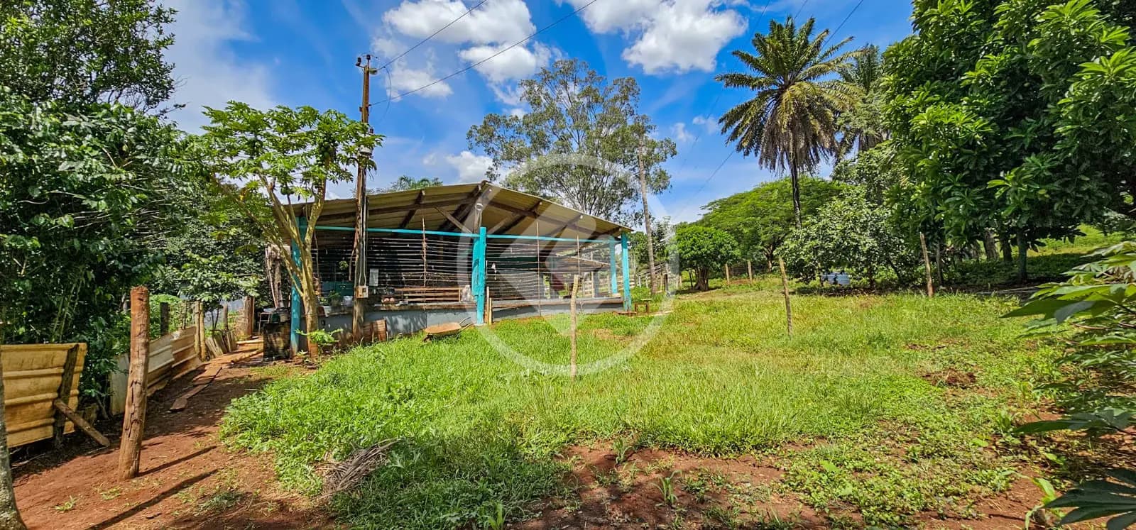 Chácara 3 quartos no Área Rural de Jataí, Jataí — foto 4 de 6