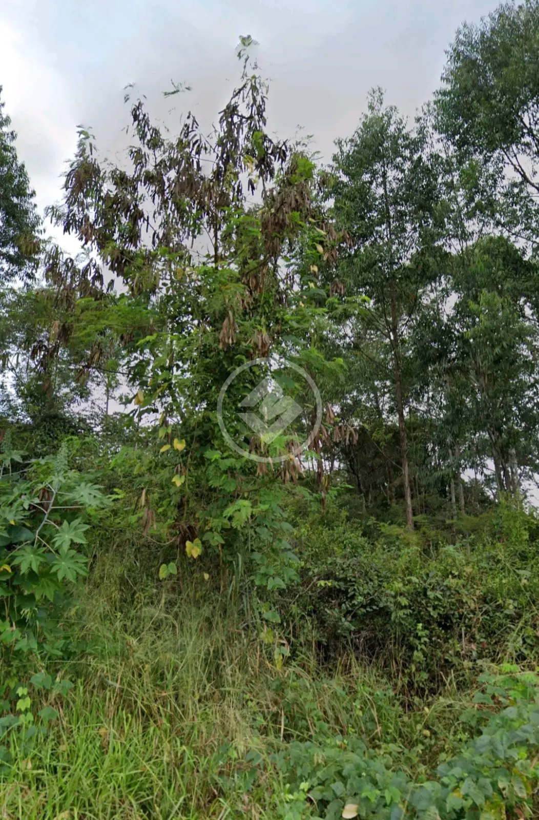 Terreno no Shalimar, Lagoa Santa — foto 3 de 4