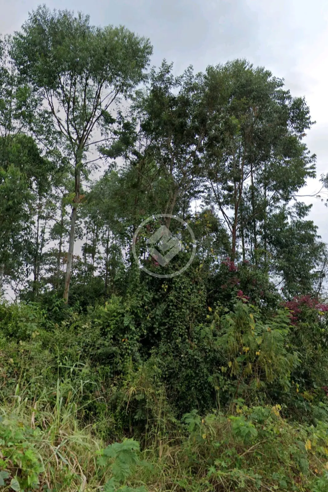 Terreno no Shalimar, Lagoa Santa — foto 4 de 4