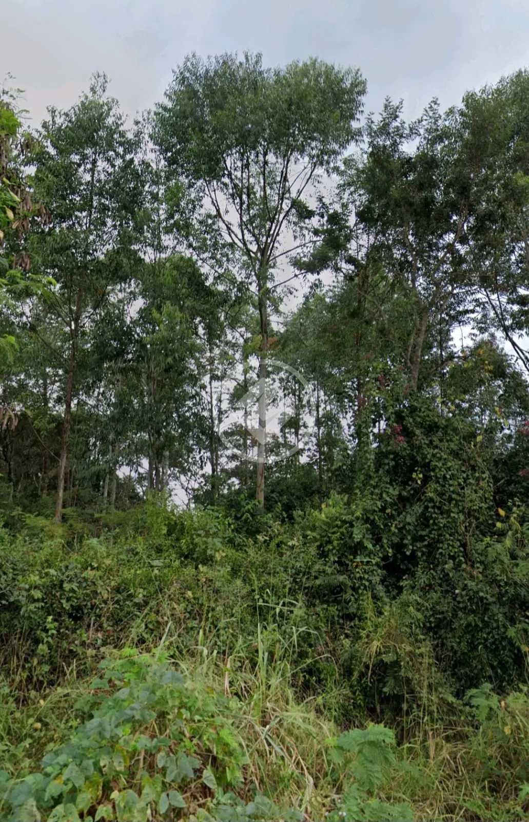 Terreno Shalimar, Lagoa Santa - MG — foto 2