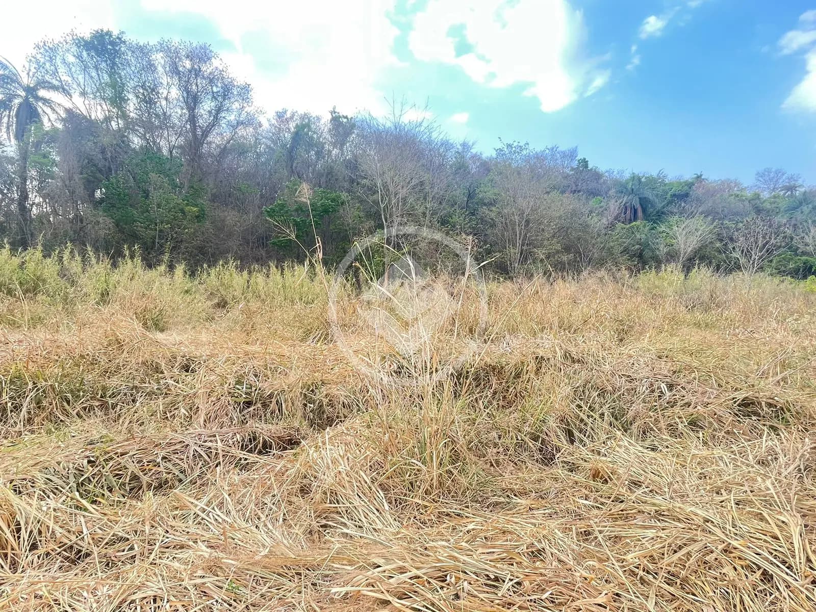 Terreno Condomínio Comercial Goiabeiras, Lagoa Santa - MG — foto 1