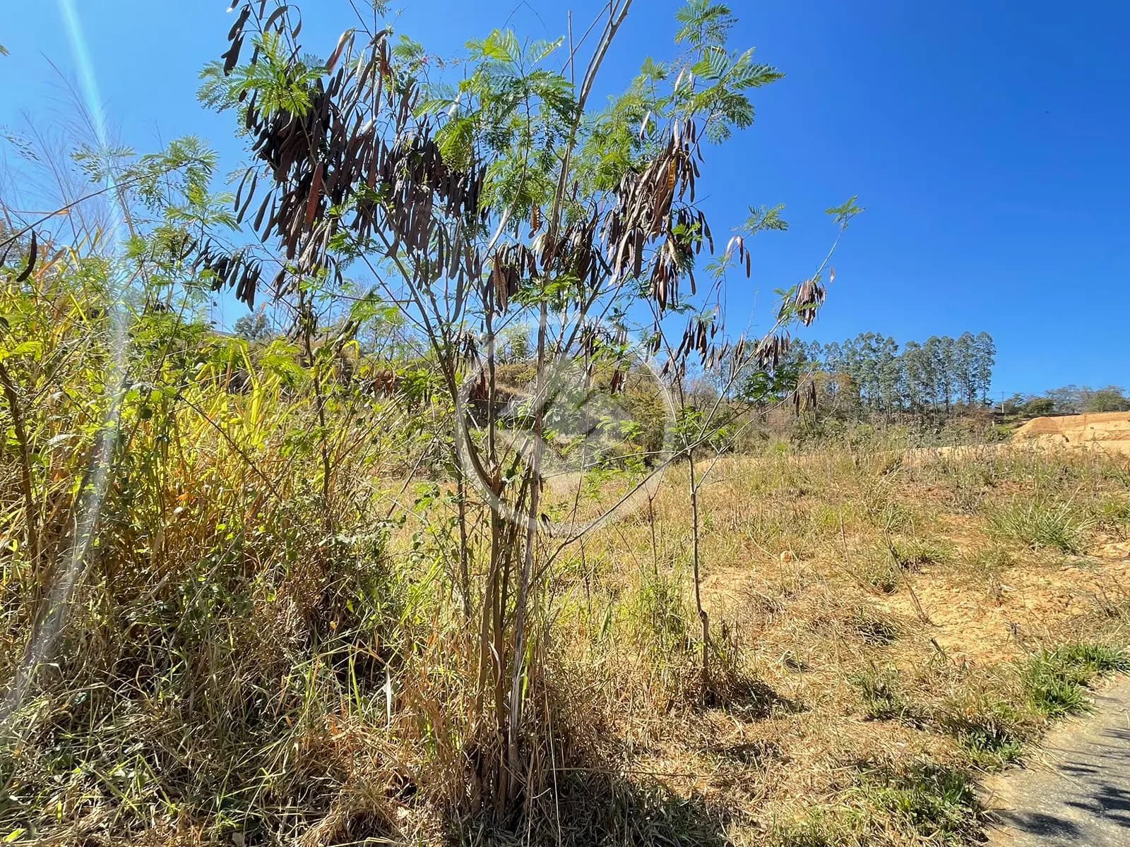 Terreno Comercial no Comercial Goiabeiras, Lagoa Santa — foto 5 de 6