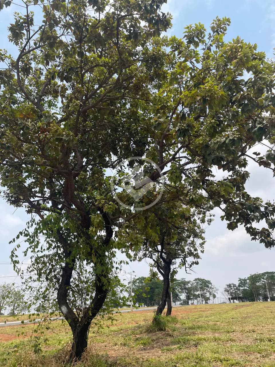Terreno Condomínio no Residencial Aldeia do Parque, Aparecida de Goiânia — foto 6 de 6