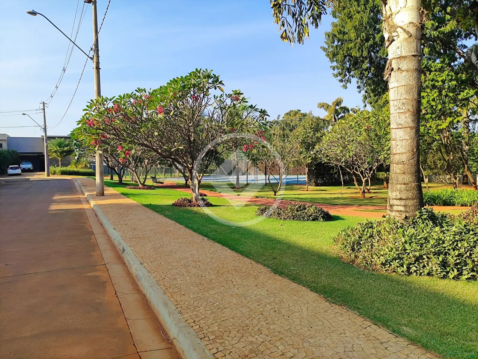 Casa 3 quartos no Vila do Golfe, Ribeirão Preto — foto 3 de 6