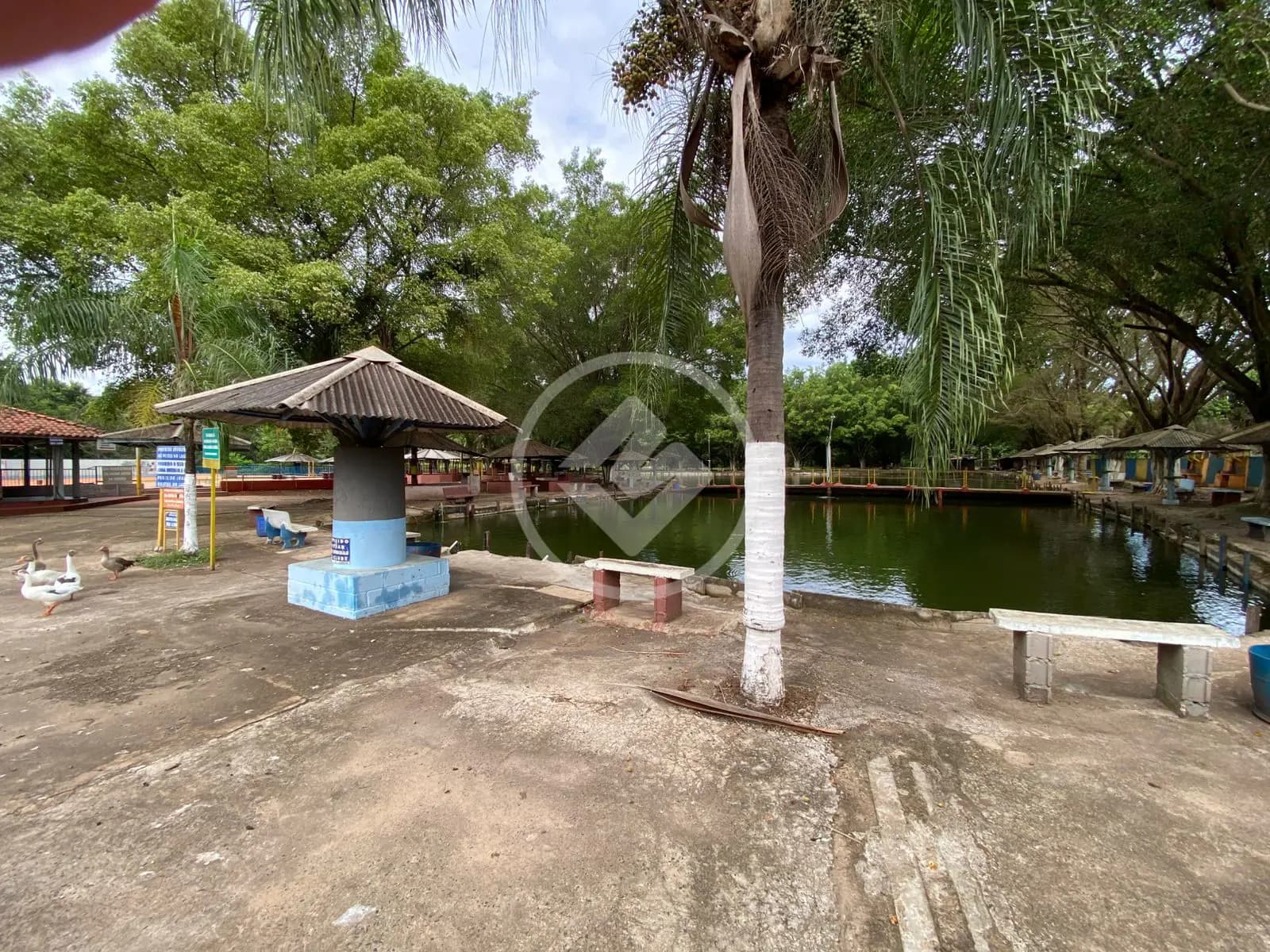 Terreno Comercial Jardim Aeroporto, Ribeirão Preto - SP — foto 1