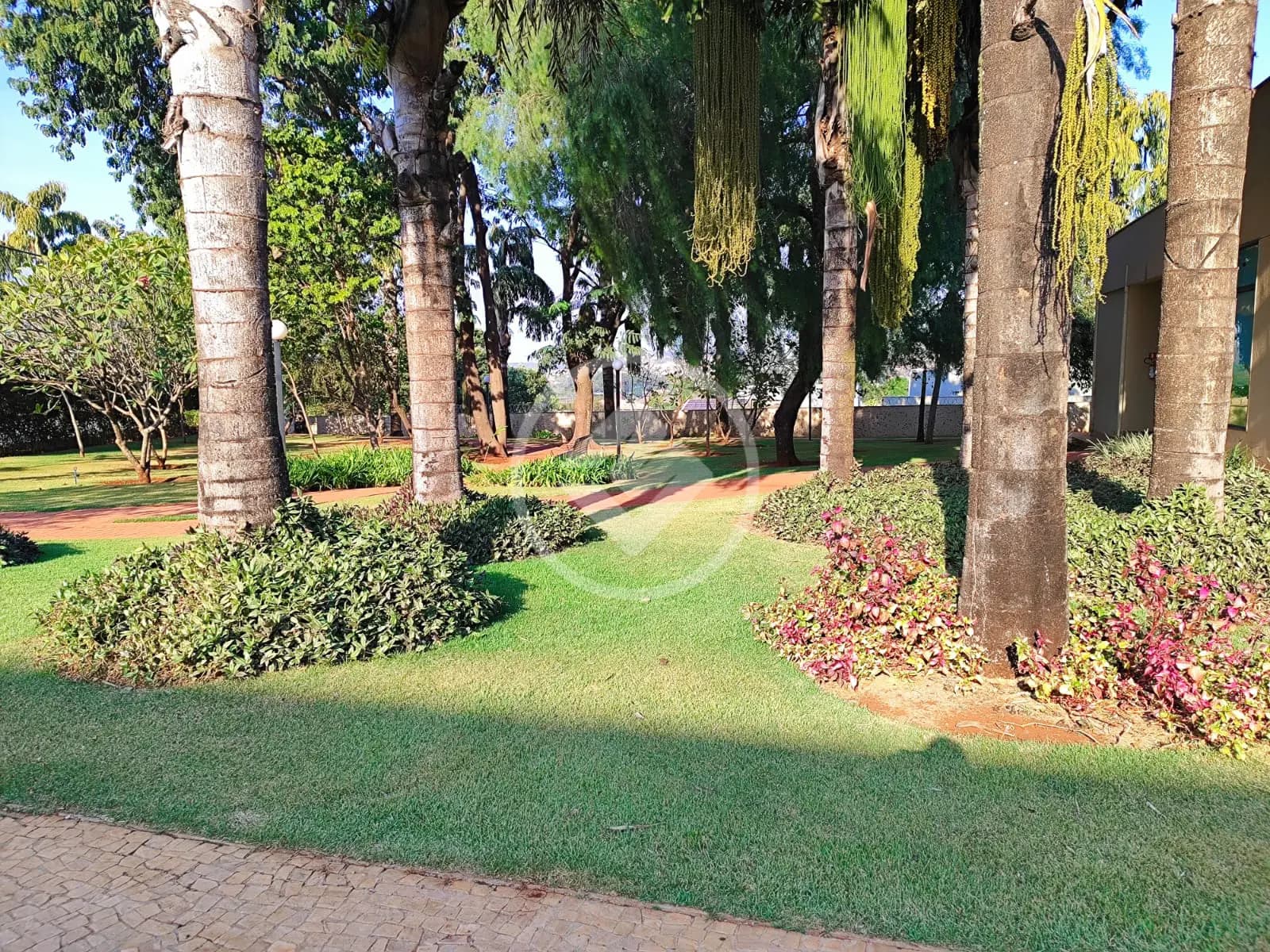 Casa 3 quartos no Vila do Golfe, Ribeirão Preto — foto 4 de 6